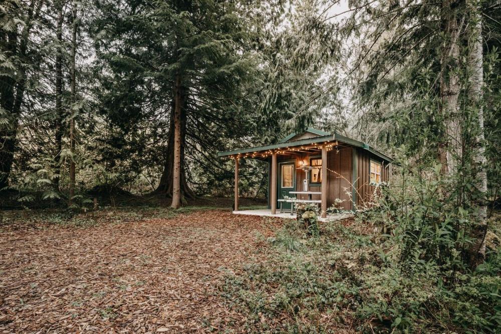 72MF - Rustic - Pets Ok - Sleeps 2 cabin